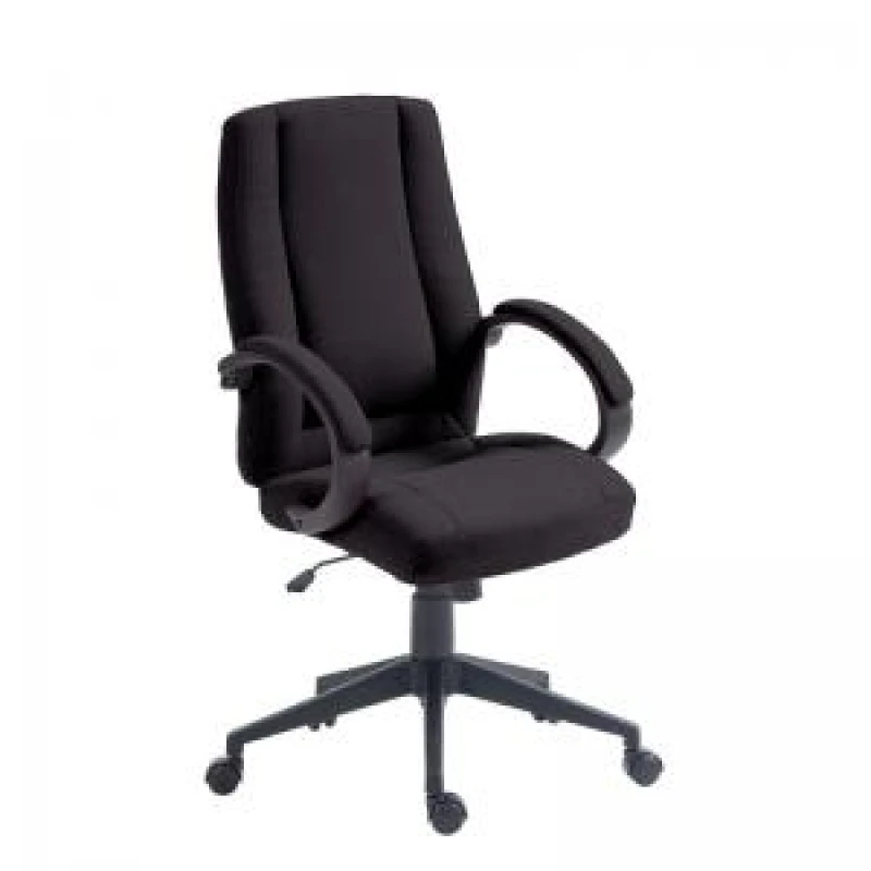 Image of Nautilus Designs Dorset High Back Fabric Executive Office Chair With EXR53472NA