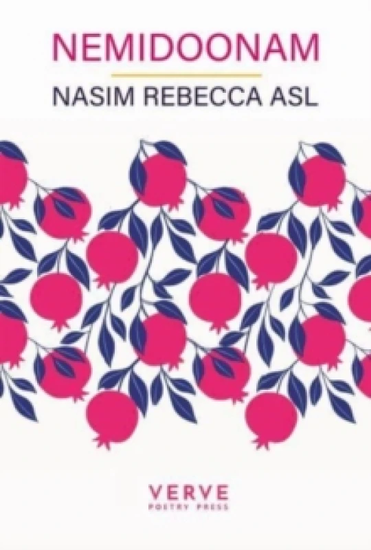 Image of Nemidoonam Paperback / softback