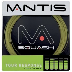 Image of MANTIS Tour Response 17LG String Set 10m Natural