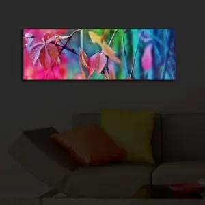 Image of 3090?ACT-47 Multicolor Decorative LED Lighted Canvas Painting