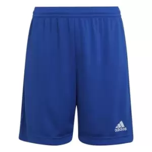 Image of adidas ENT22 Shorts Juniors - Blue