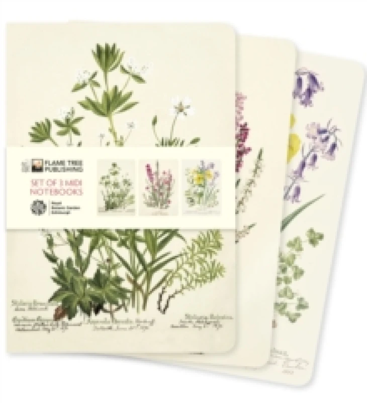 Image of Royal Botanic Garden Edinburgh Set of 3 Midi Notebooks Notebook / blank book