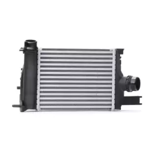 Image of RIDEX Intercooler 468I0117 Turbo Intercooler,Intercooler, charger RENAULT,DACIA,Clio IV Schragheck (BH_),Captur (J5_, H5_),Clio IV Grandtour (KH_)