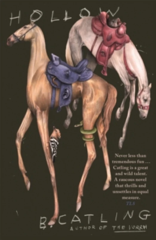 Image of Hollow Paperback / softback