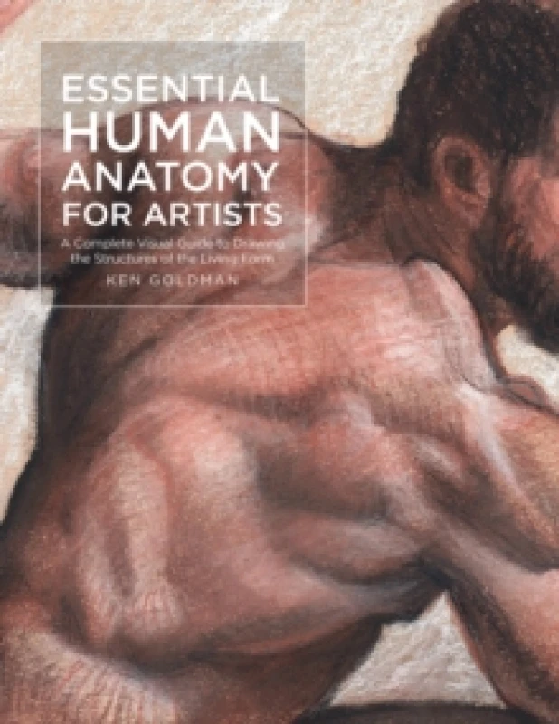 Image of Essential Human Anatomy for Artists : A Complete Visual Guide to Drawing the Structures of the Living Form Volume 9 Paperback / softback