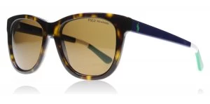 Image of Polo Ralph Lauren PH4105 Sunglasses Shiny Dark Havana 557783 Polariserade 54mm