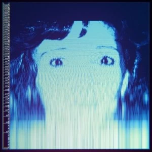 Image of We Will Always Love You by The Avalanches CD Album