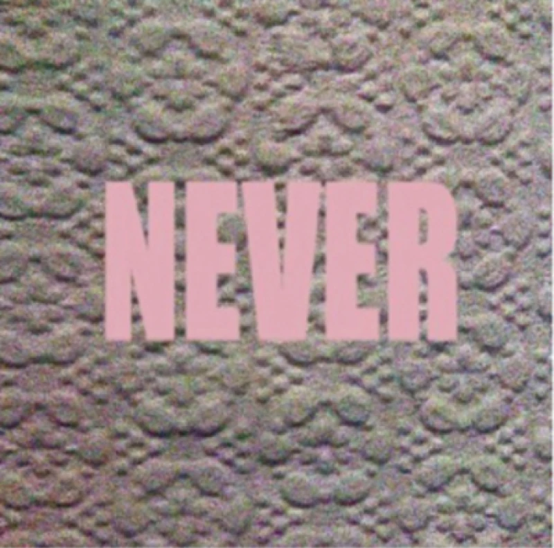 Image of Never CD / Album