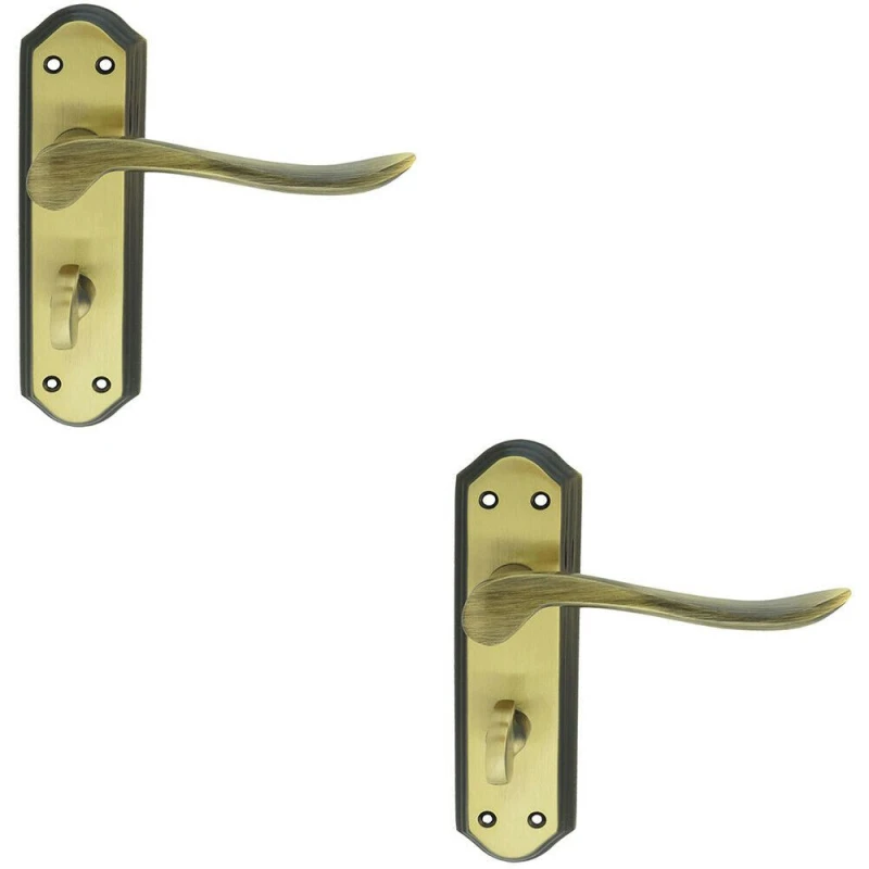 Image of Loops 2x PAIR Curved Lever on Sculpted Bathroom Backplate 180 x 48mm Florentine Bronze Multi