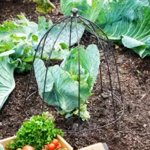 Image of Outdoor Wire Netted Plant Protector Zinc
