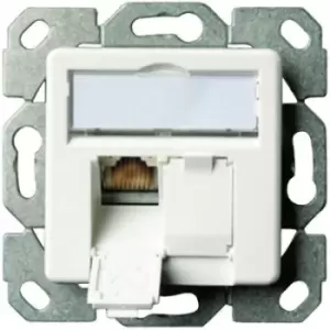 Image of Telegaertner Network outlet Flush mount Insert with main panel CAT 6A 2 ports Alpine white
