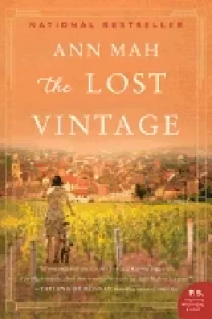 Image of lost vintage a novel