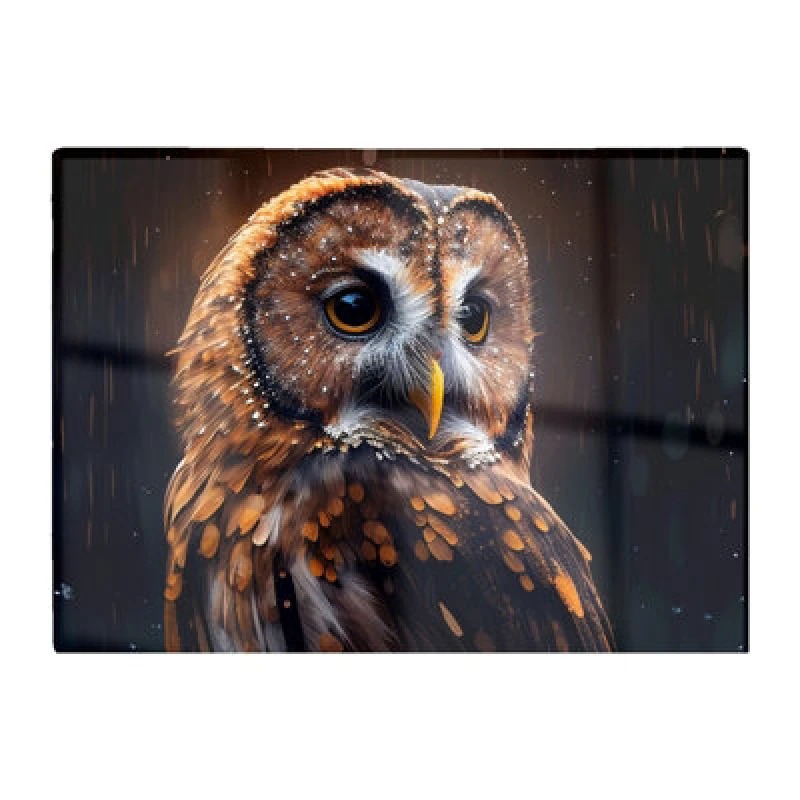 Image of Warren Reed Designer Tawny Owl Face Splashart Dark Background Glass Chopping Board