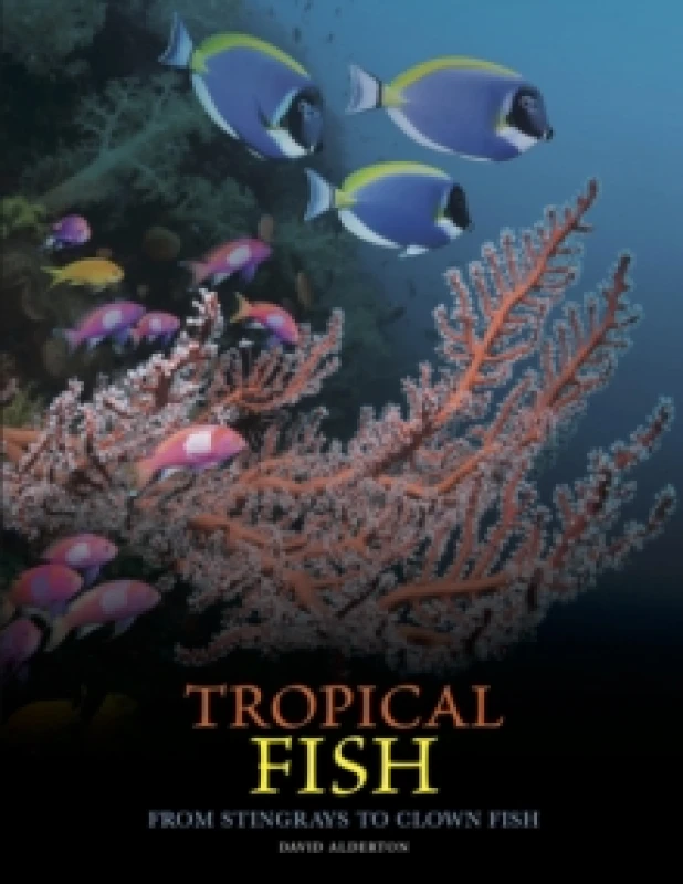 Image of Tropical Fish : From Stingrays to Clown Fish Hardback