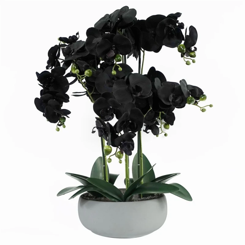 Image of Leaf 60cm Orchid Black - White Ceramic Planter Green