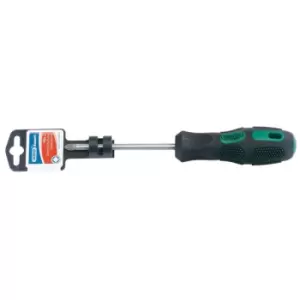 Image of Draper Expert 40038 No. 2 x 100mm Pz Type Screwdriver (display Packed)