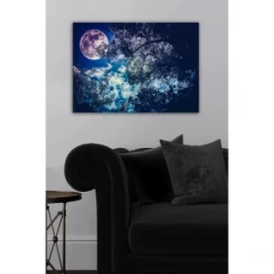 Image of 510249208-5070 Multicolor Decorative Canvas Painting
