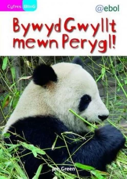 Image of Bywyd Gwyllt Mewn Perygl by Jen Green Paperback