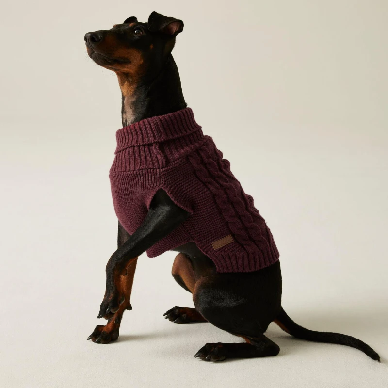 Image of Regatta Dog Jumper - Red Red L