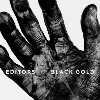 Image of Editors - Black Gold Vinyl