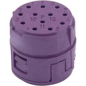 Image of LappKabel 73002740 EPIC M23 81P EPIC CIRCON M23 Socket Insert 20 A bei 2mm Kontakt 7 A bei 1mm Kontakt