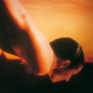 Image of Porcupine Tree - On The Sunday Of Life Vinyl