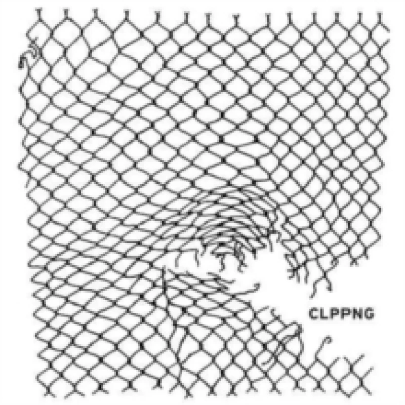 Image of CLPPNG CD / Album