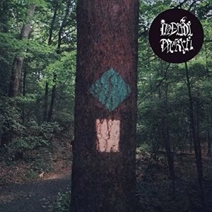 Image of Indridi - Makril Vinyl