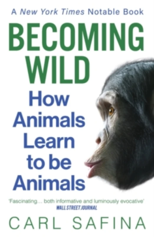 Image of Becoming Wild : How Animals Learn to be Animals Paperback / softback