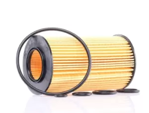 Image of PURFLUX Oil filter MERCEDES-BENZ,CHRYSLER,PUCH L305 AC6203E,AC6293E,AC6294E Engine oil filter 5102905AB,5143064AA,5183748AA,05102905AB,0001802309