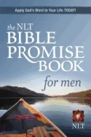 Image of nlt bible promise book for men