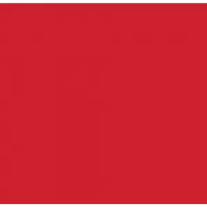 Image of Wickes Crimson Matte Acrylic 1700 x 900 2 Sided Shower Panel Kit