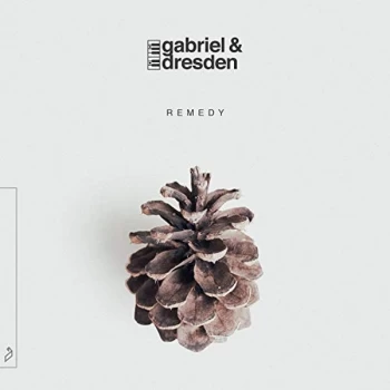 Image of Gabriel and Dresden - Remedy Vinyl