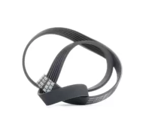 Image of DAYCO V-ribbed belt 6PK1125 Serpentine belt,Auxiliary belt VW,AUDI,MERCEDES-BENZ,Golf IV Schragheck (1J1)