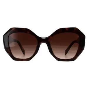 Image of Round Tortoise Brown Gradient PR16WS