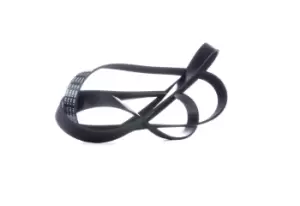 Image of Bosch V-ribbed belt MERCEDES-BENZ,HYUNDAI,HONDA 1 987 946 261 53011097,252124A700,38920RBDE01 38920RBDE02,252124A700,53011097,252124A700,0009930695