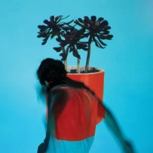 Image of Sunlit Youth by Local Natives Vinyl Album
