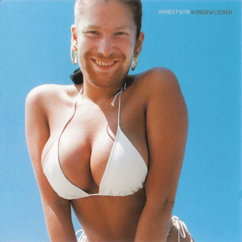 Image of Aphex Twin - Windowlicker Vinyl Album - Used