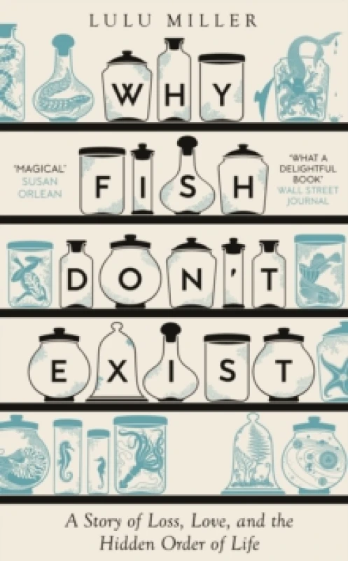 Image of Why Fish Don't Exist : A Story of Finding Our Way in a Chaotic World Hardback