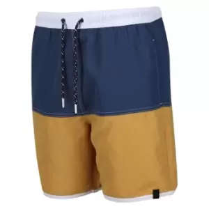 Image of Regatta Benicio Swim Short - DkDn/GldStrw