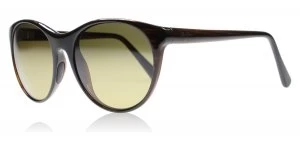 Image of Maui Jim Mannikin Sunglasses Brown Stripe STG-SG Polariserade