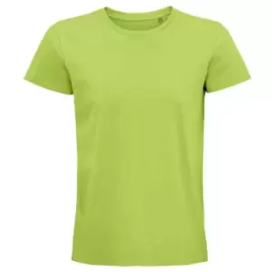 Image of SOLS Unisex Adult Pioneer Organic T-Shirt (3XL) (Apple Green)