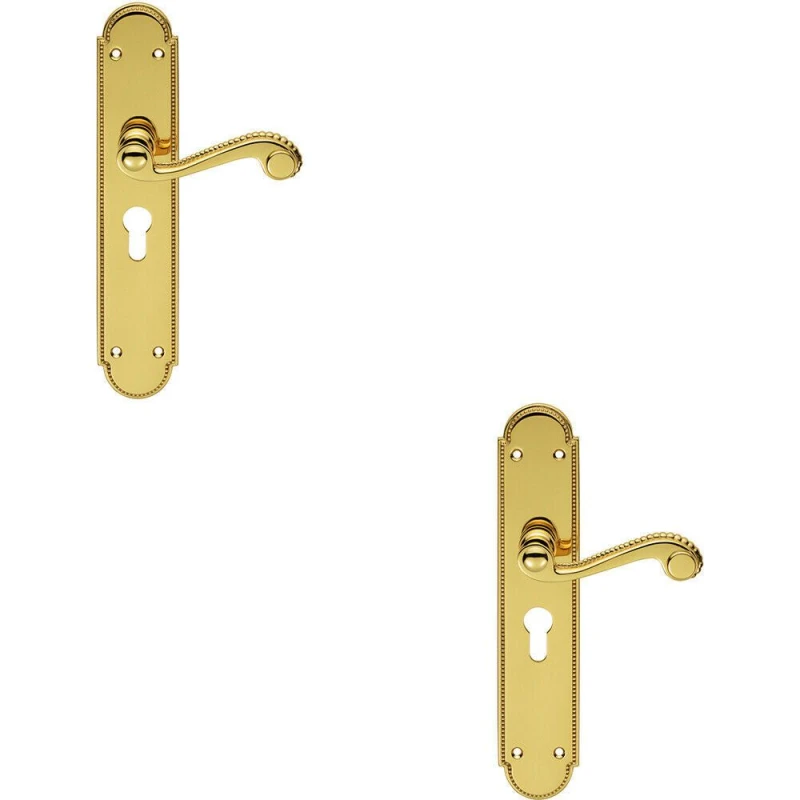 Image of Loops 2x PAIR Beaded Pattern Handle on Euro Lock Backplate 249 x 50mm Polished Brass Metallics