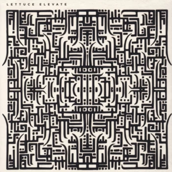 Image of Lettuce - Elevate Vinyl