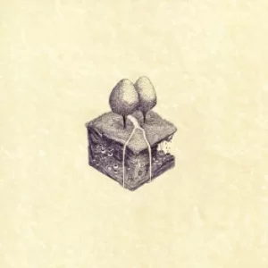 Image of Western Culture by Kiran Leonard Vinyl Album