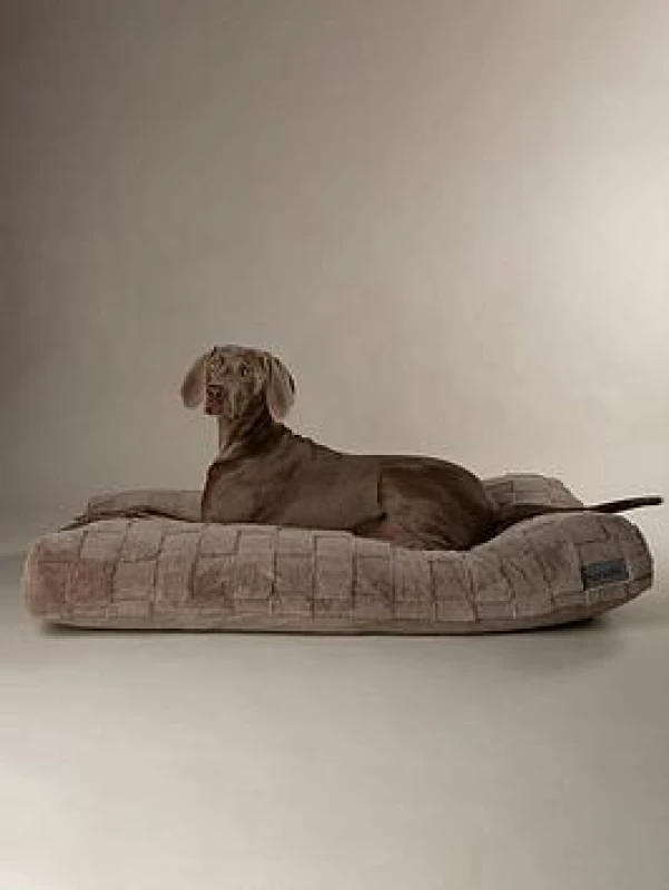 Image of Scruffs Oxford Dog Bed Mattress Medium Silver BED/RCD/829887