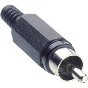 Image of RCA connector Plug straight Number of pins 2 Black Lumberg XSTO 1