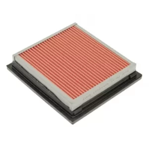 Image of Air Filter ADN12223 by Blue Print