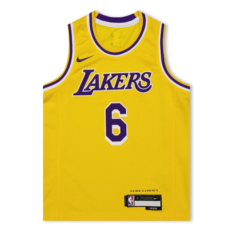 Image of NBA Los Angeles Lakers LeBron James Jersey Juniors LA Lakers male 11-12 (L)