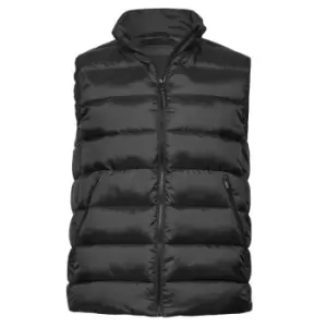 Image of Tee Jays Unisex Adult Lite Body Warmer (S) (Black)